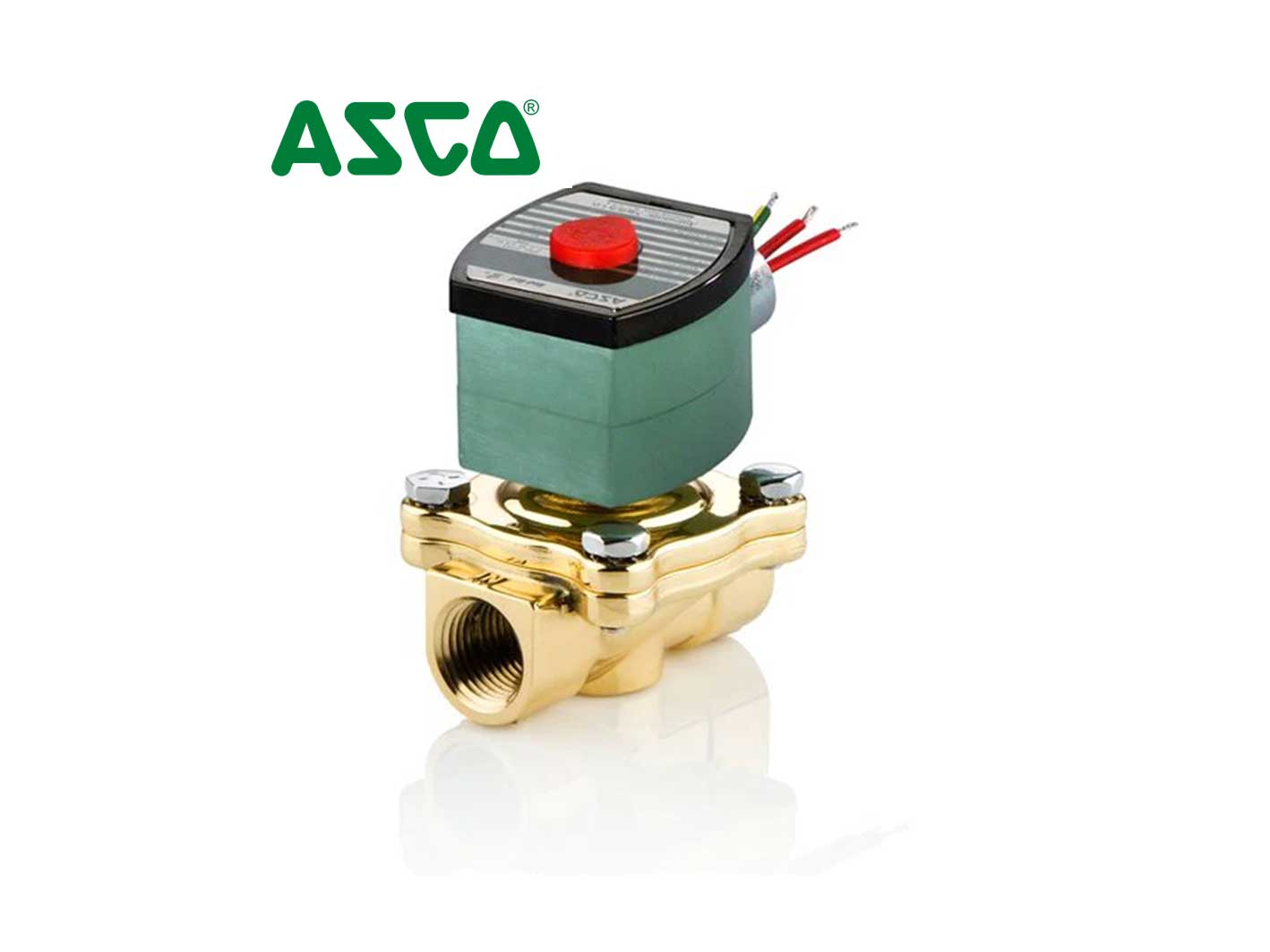 Válvula Solenoide Asco (8262H261)